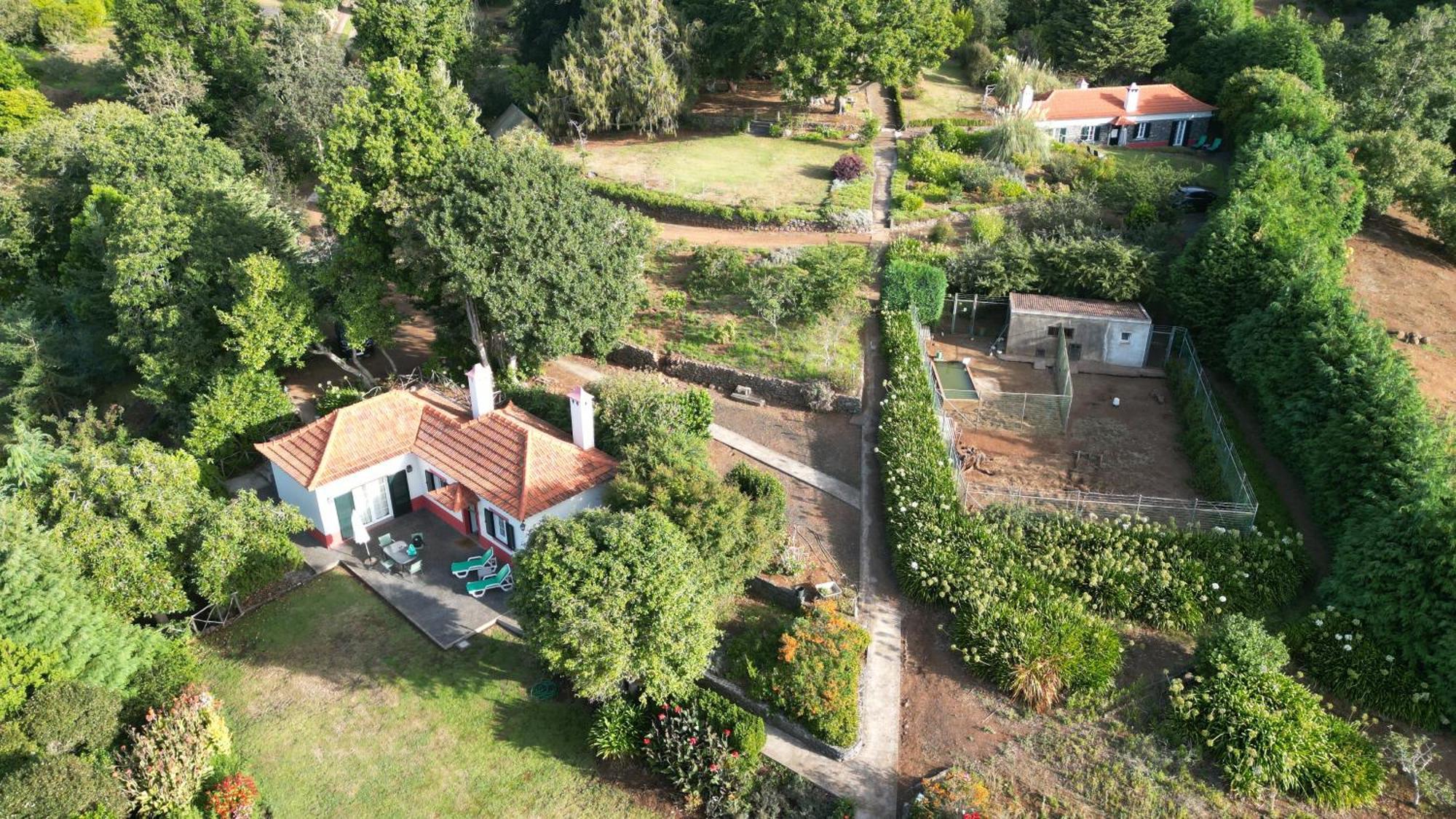 Quinta Das Faias Camacha  Szoba fotó