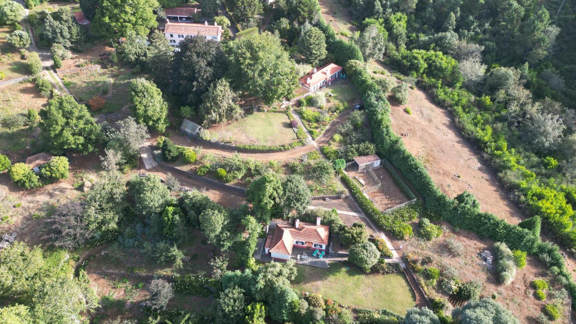 Quinta Das Faias Camacha  Kültér fotó