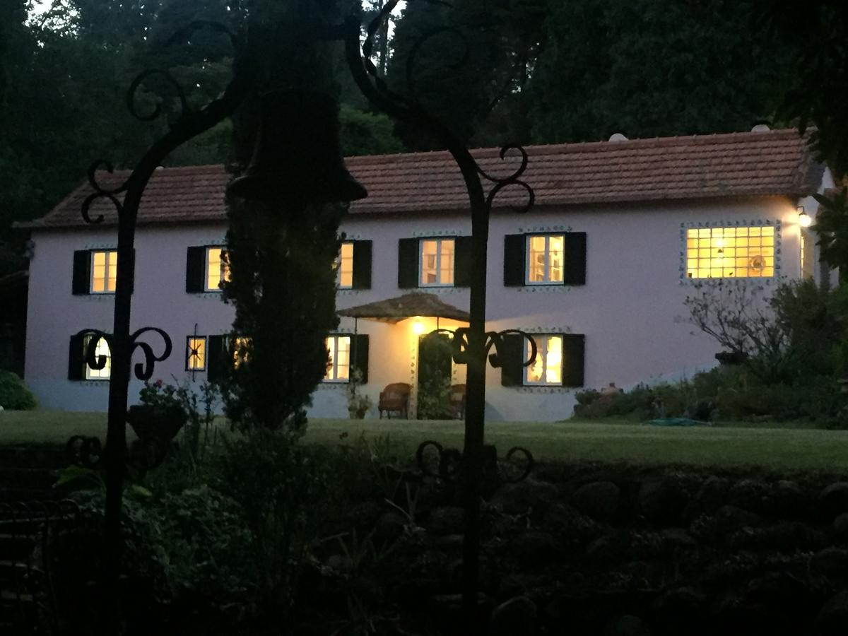 Quinta Das Faias Camacha  Kültér fotó
