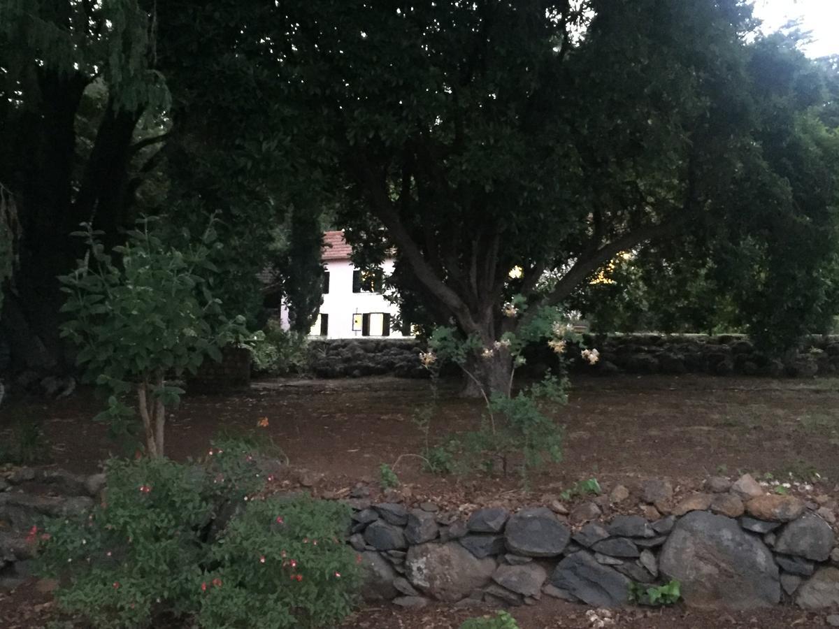 Quinta Das Faias Camacha  Kültér fotó